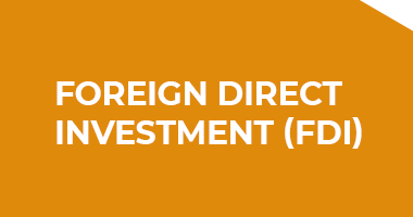 FDI FOREIGN DIRECT INVESMENT