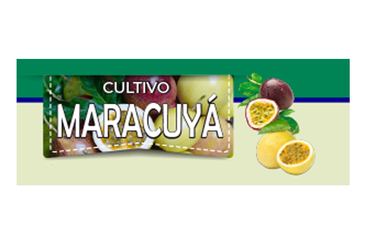 Maracuyá